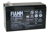 Аккумуляторная батарея FG 20721 12V 