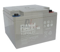 Аккумуляторная батарея 12FGL27